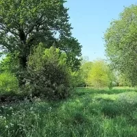 La Maison Radieuse de Rezé – Le parc arboré – 