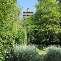 La Maison Radieuse de Rezé – Le parc arboré – 