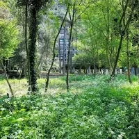 La Maison Radieuse de Rezé – Le parc arboré – ©Patrick Belz, 2022
