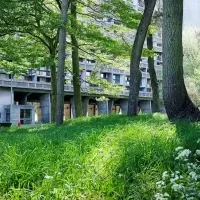 La Maison Radieuse de Rezé – Le parc arboré – 