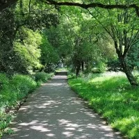 La Maison Radieuse de Rezé – Le parc arboré – 