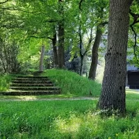 La Maison Radieuse de Rezé – Le parc arboré – 