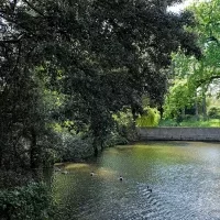 La Maison Radieuse de Rezé – Le parc arboré – 