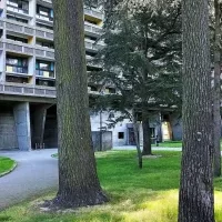 La Maison Radieuse de Rezé – Le parc arboré – ©Patrick Belz, 2022
